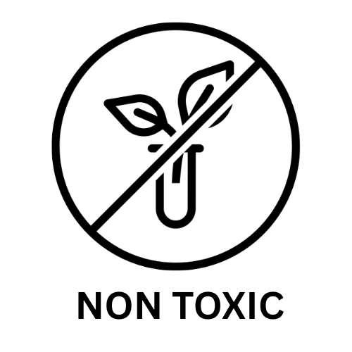 NON TOXIC SKIN CARE