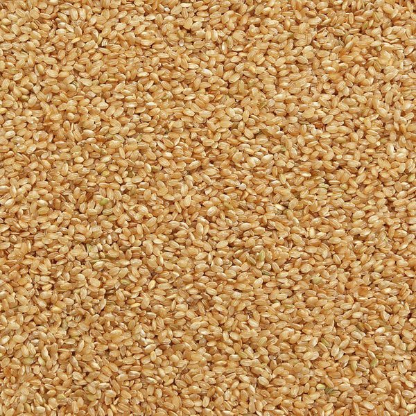brown_rice.jpg