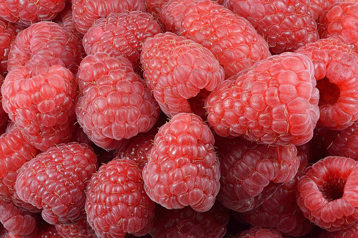 raspberry.jpg