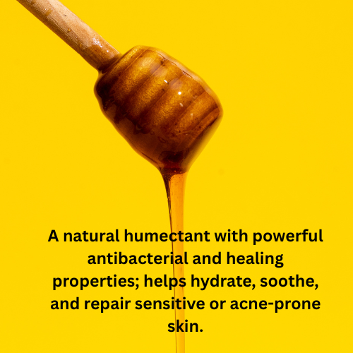 Calendula I Honey I Tallow Balm