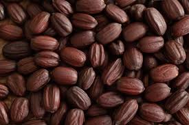 jojoba.jpg